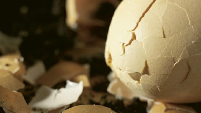 俗语新解之风吹鸡蛋壳财散人安乐