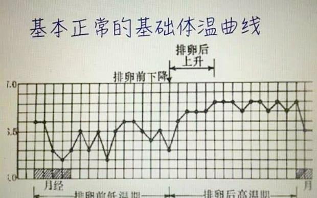 女性身体若出现这些信号,说明处于排卵期,此时造人可能一发命中