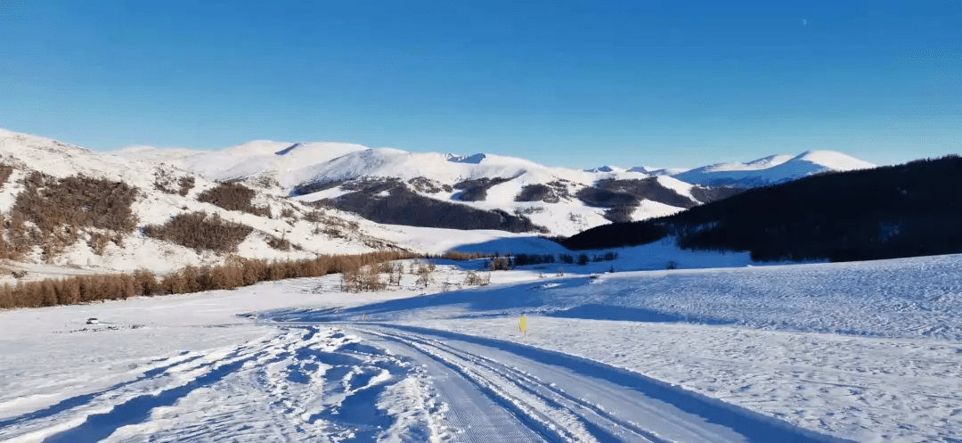 【打卡阿勒泰】青格里野雪公园预计12月下旬对外开放！_国际滑雪场