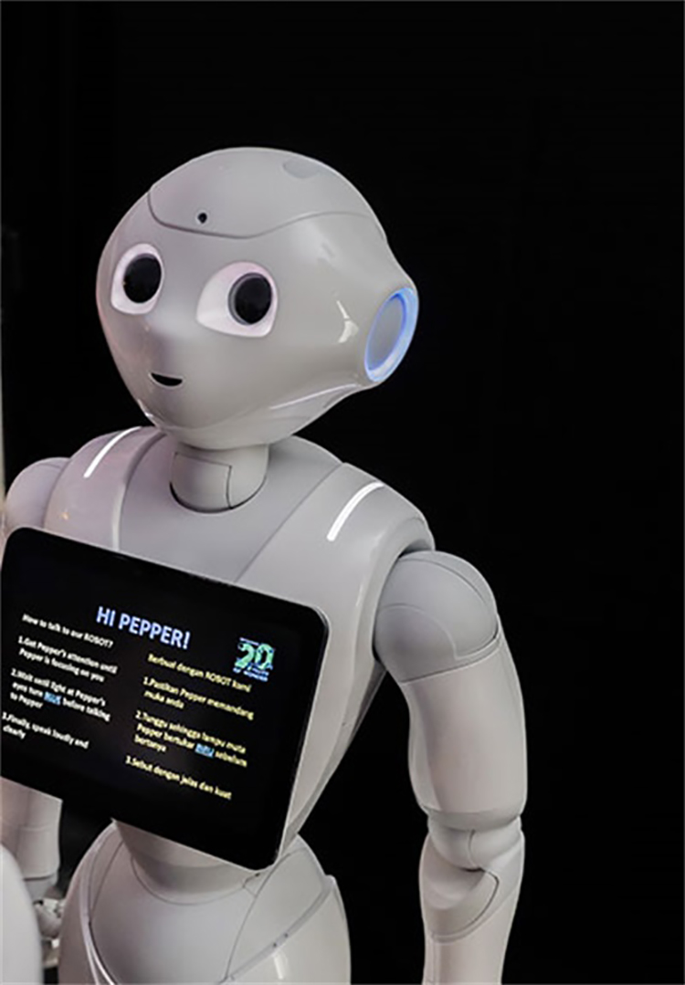 马来西亚国油科学节活动策划特邀的拟人机器人好有趣