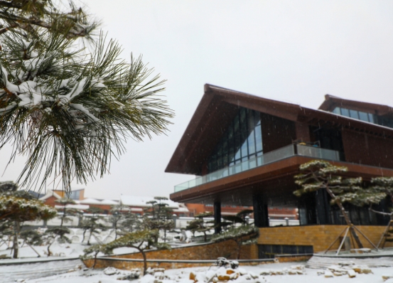 华中小镇白石山居业主文苑我爱你小镇的雪