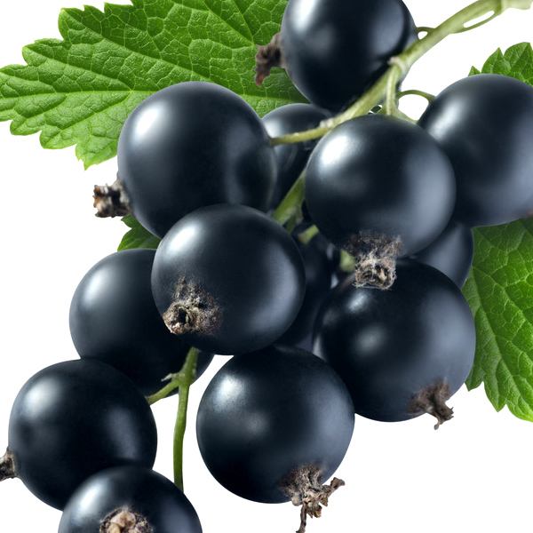 新疆旅游攻略13新疆民风民俗新疆特有水果水果上市时间新疆干果