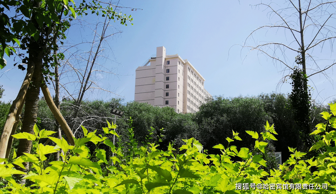 大隐于市 | 哈密藏着一座园林式养生酒店!
