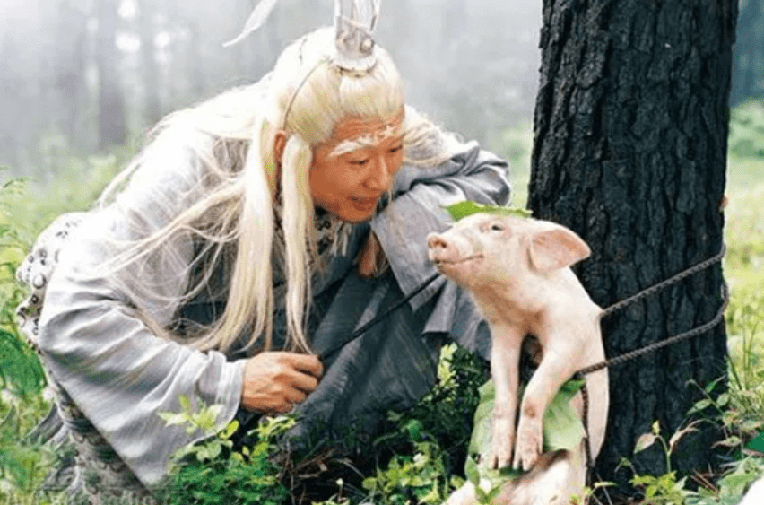 《春光灿烂猪八戒》将翻拍?要挑战徐峥成名作,这两个是基本要求