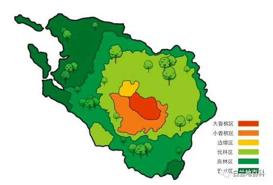 如何简单且专业地区分「白兰地」,「干邑」,「优质香槟区干邑」