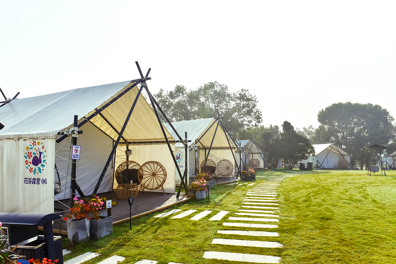 美呆了!这个低调的花海露营地,随手一拍就能刷爆朋友圈_花博