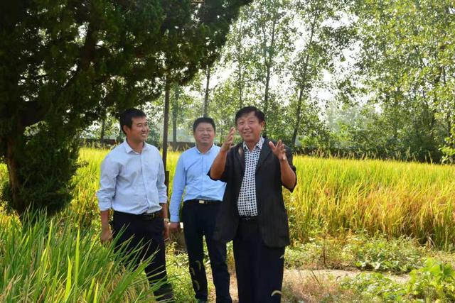 说起盱眙县马坝镇朱楼村几年来的巨变,居住在这里的村民们无不交口