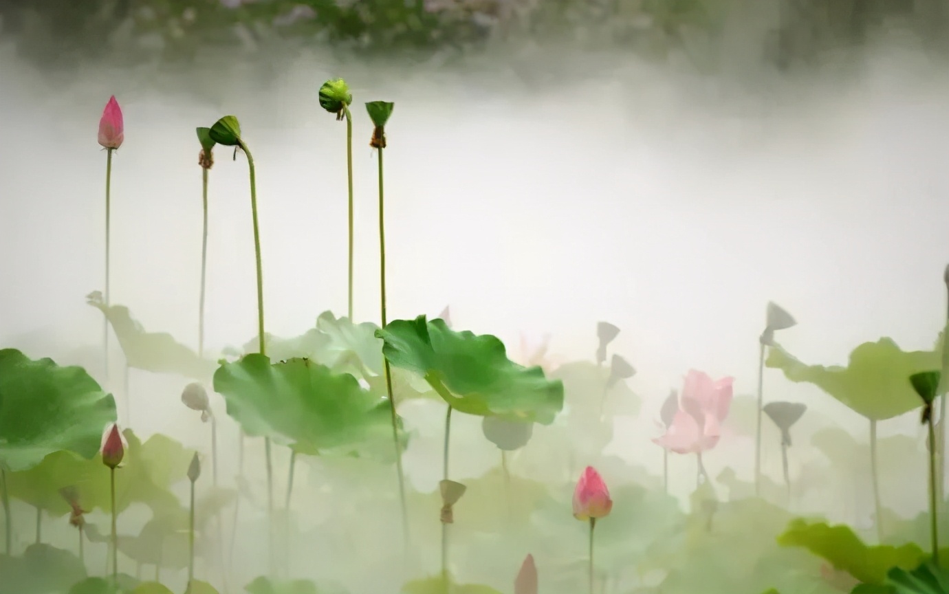 区县解读大足这个镇如今美丽富饶有千年古刹国家瑰宝