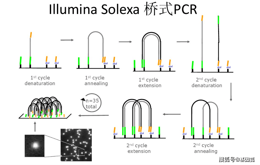 打破技术垄断,拉索生物首次实现高密度基因芯片的国产化研发生产