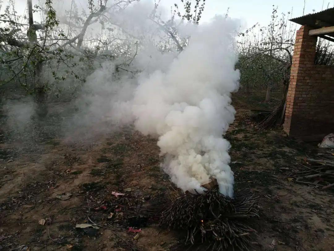 锯末,谷壳,草皮等易燃物,在茶园各个角落堆积烟熏堆,燃烧使之产生烟雾