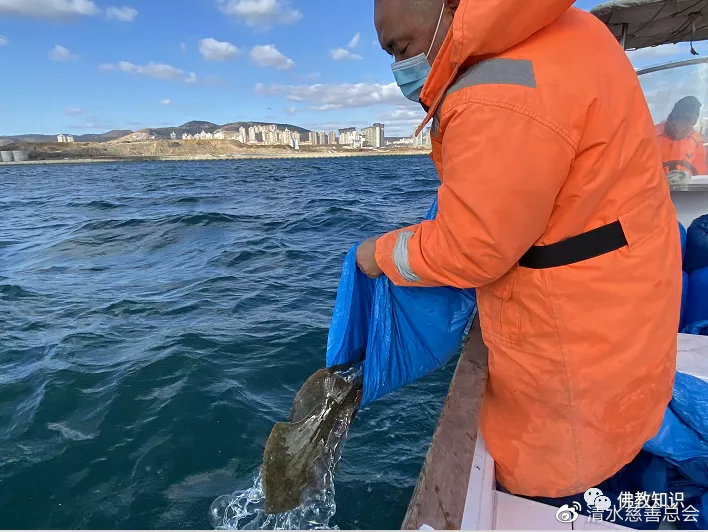 深海放生,確保魚兒安全回家.佛光普照,感恩佛力加持,這些生命自由了!