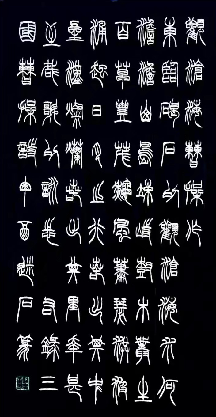 华夏之星赵广奎