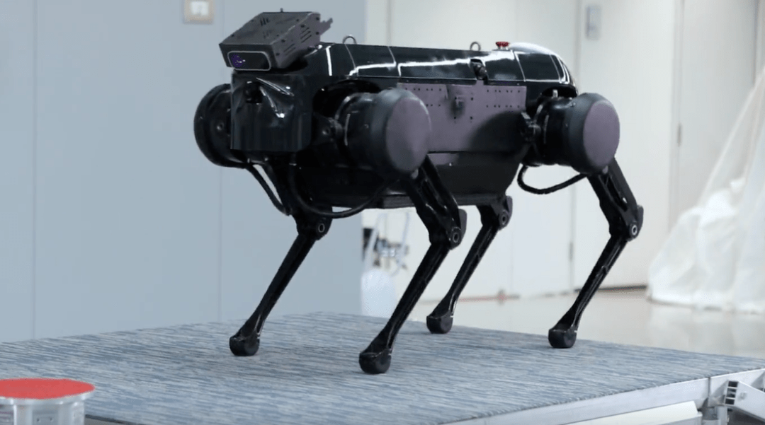 人不如机器四足机器狗已经智能到啥地步了