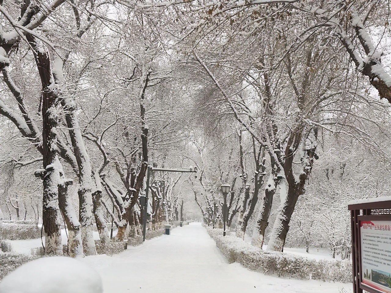 乌鲁木齐雪景 实拍图片