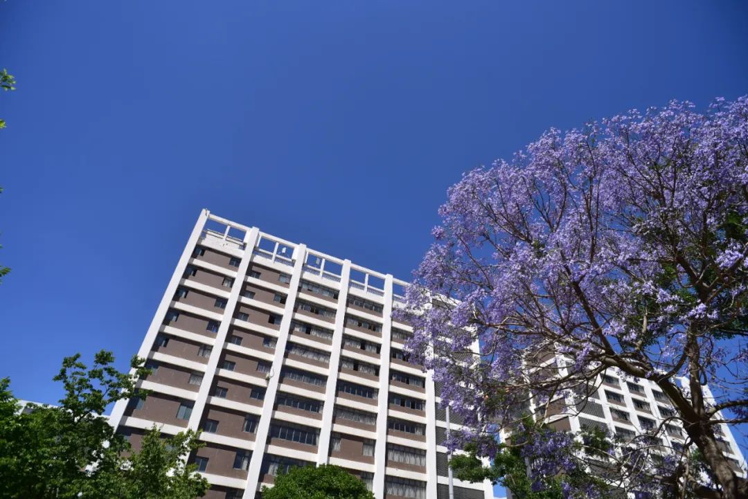 云南工程职业学院2020年高职扩招报名招生简章