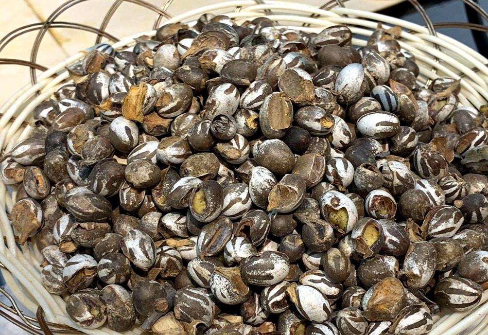 农村一霸农民见到会害怕如今靠养殖供应200元一斤