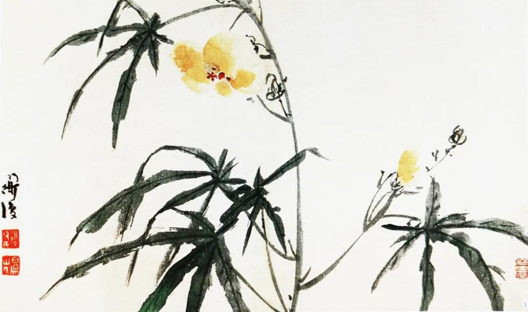 如《辞海》中: "黄蜀葵一名秋葵,原产我国" 明 陈淳《花卉册》纸本