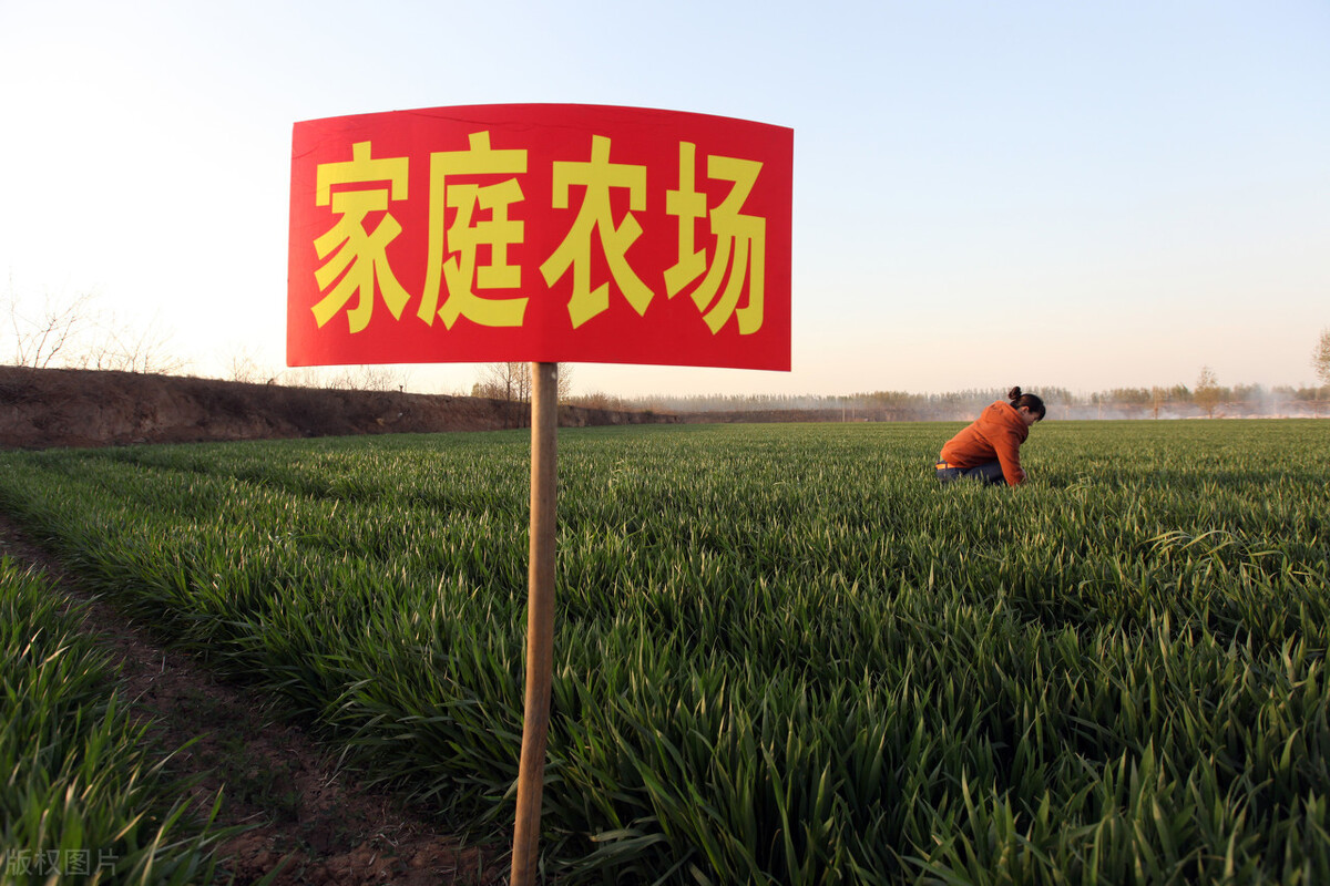 家庭农场牌匾图样图片