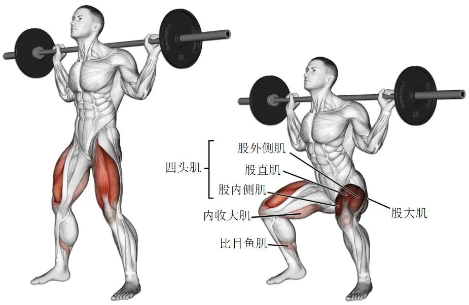 【耀健身】这组腿部训练动作,强化你的下肢力量!