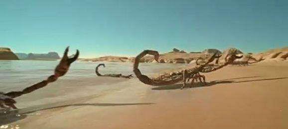 4亿年前布龙度蝎子:5米长的史前毒蝎子_手机搜狐网