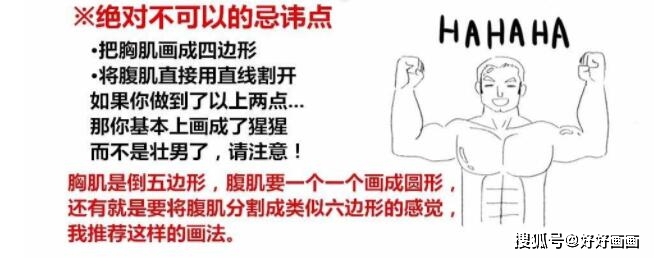 喜欢动漫画的一定要仔细的看一下具体的肌肉画法