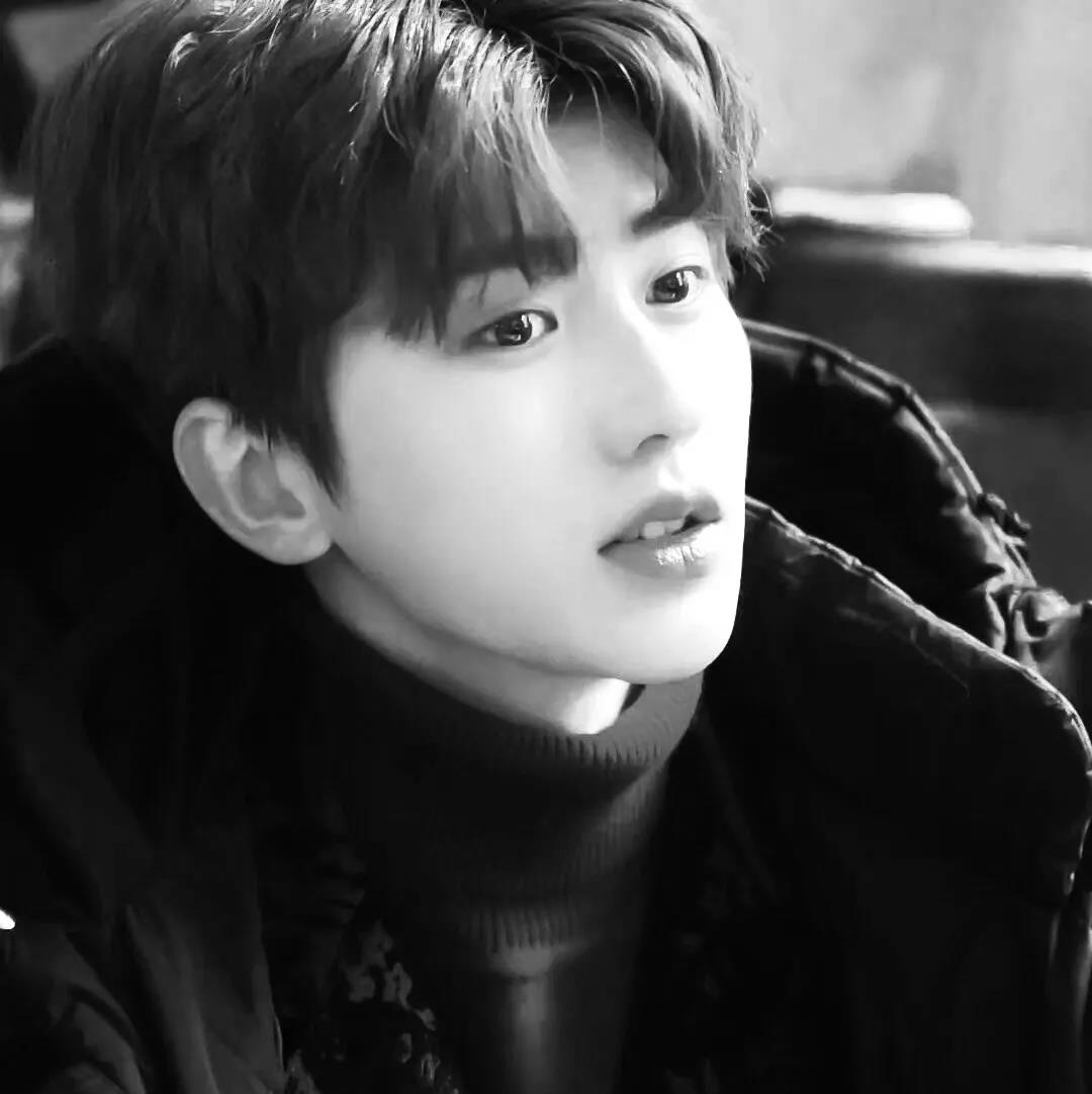 明星爱豆头像壁纸:蔡徐坤,肖战,弗莱迪海默_手机搜狐网