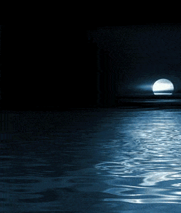 352_416gif 动态图 动图