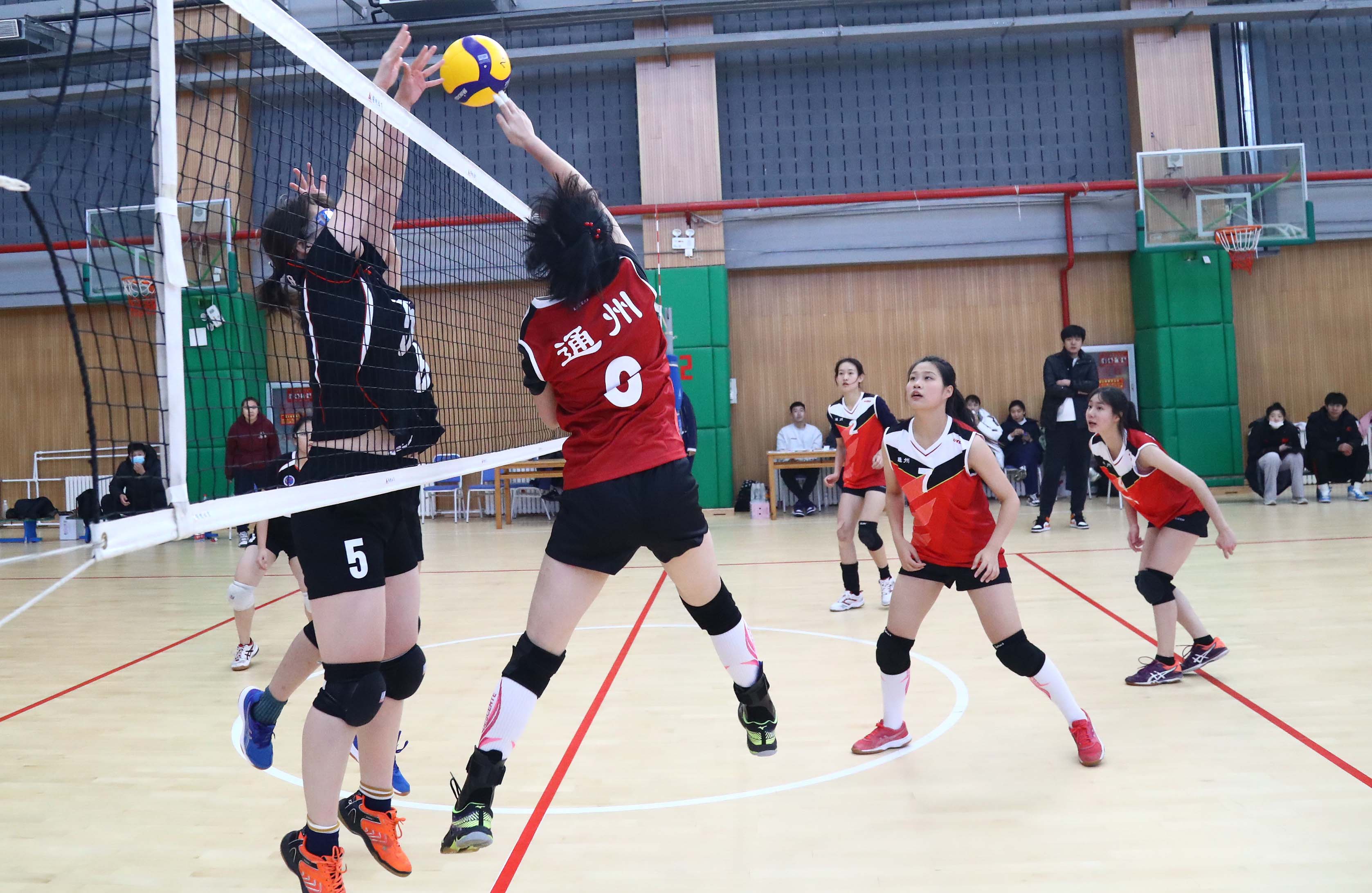 2020北京市中小学生排球锦标赛开赛1500余名运动员参赛