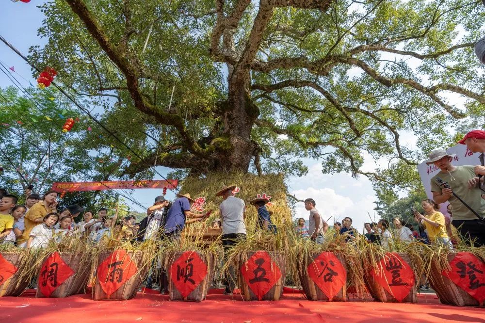 清代诗人张天树曾在他的诗中描述"高低岭尽见清溪,长空一道飞虹度.