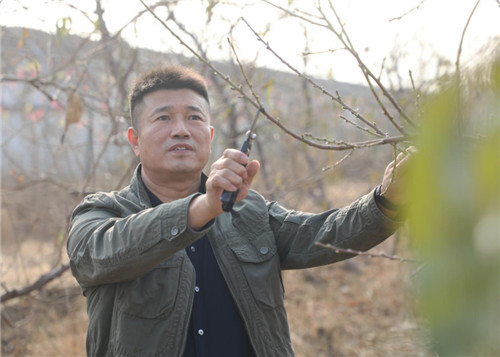 记全国劳动模范唐山丰润区兴富种植农民专业合作社理事长梁晓东