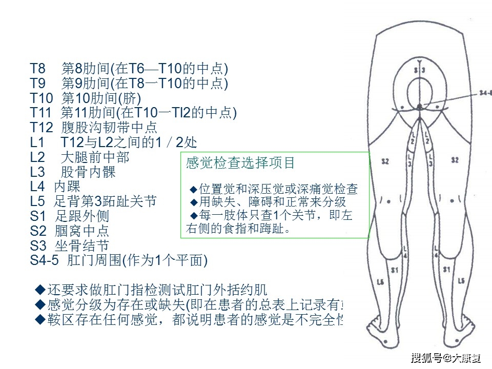 脊髓損傷的評定