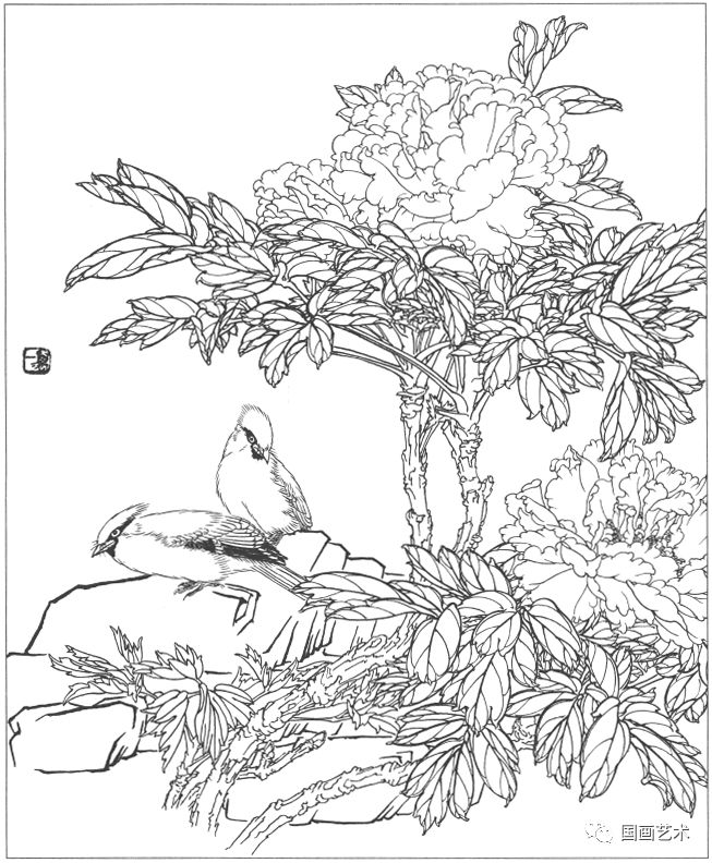 分享一组工笔花鸟白描