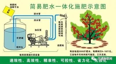 水肥一体化:智慧农业柑橘园滴灌技术_灌溉