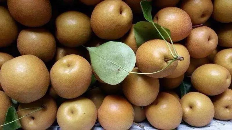 去灌阳首先得尝尝水果这三种便是冠亚季军