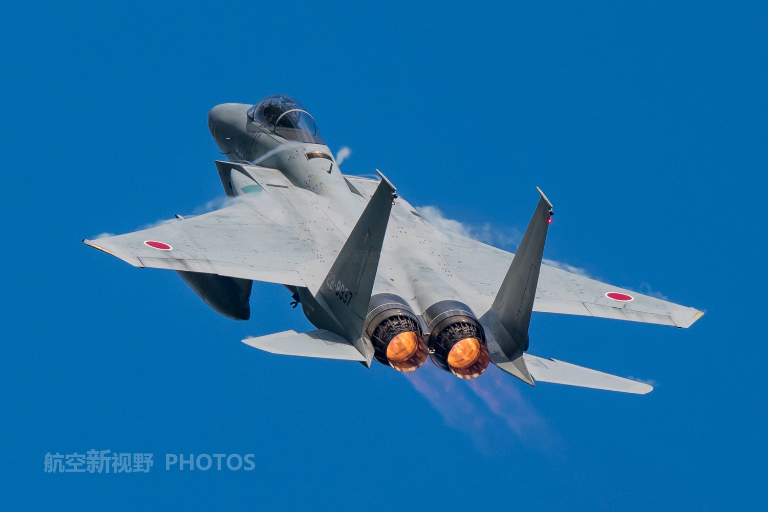 没有前缘机动襟翼没有鸭翼f15重型战斗机空战并不落伍