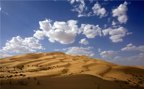 世界上最大的沙漠之一，连续下24小时雨，当地人为何不喜反忧
