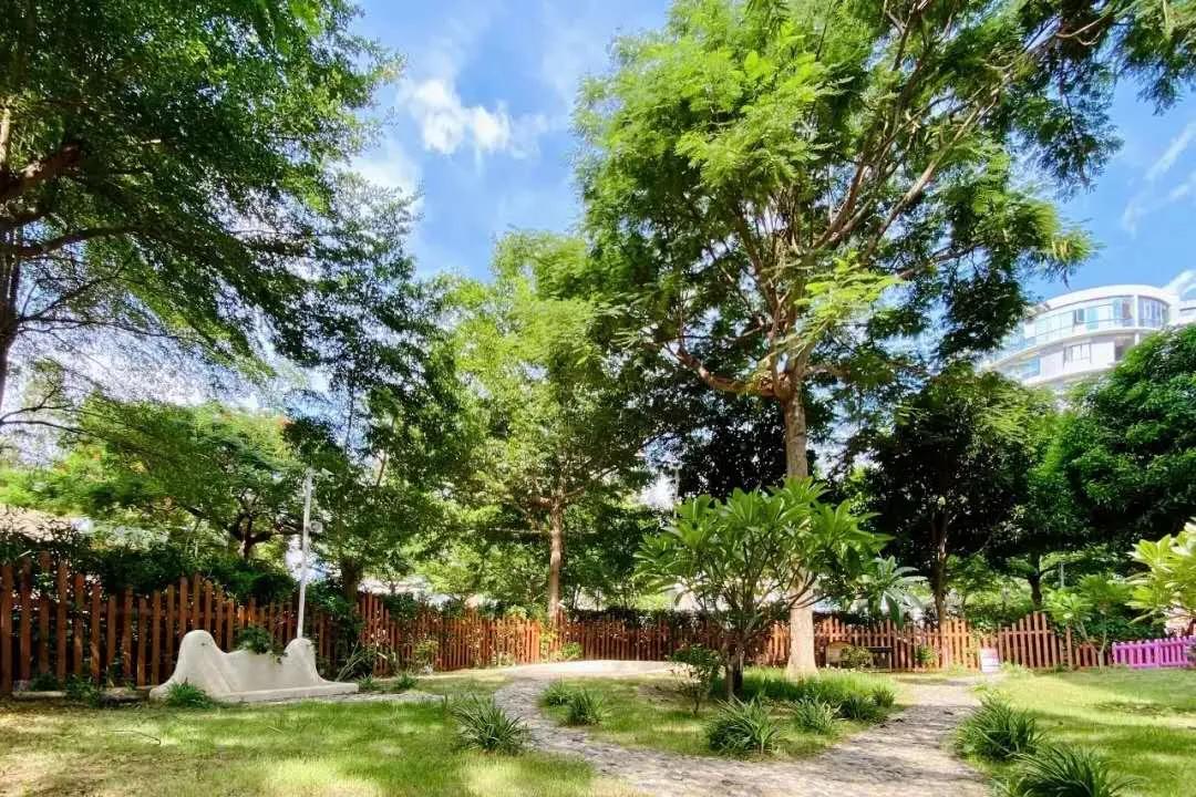 厦门好幼儿园 |"早早田可乐蛙"惠琴:成长是每个生命长成自己的样子