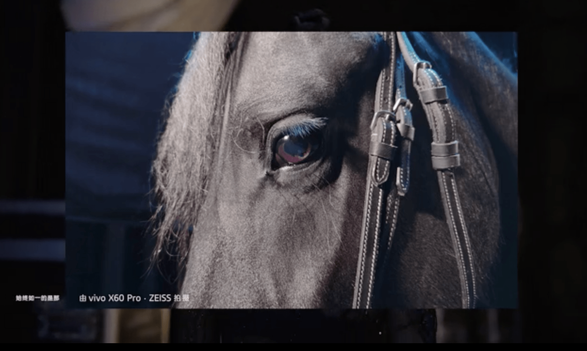 今年年底你还有可能摸到新机vivox60系列官宣