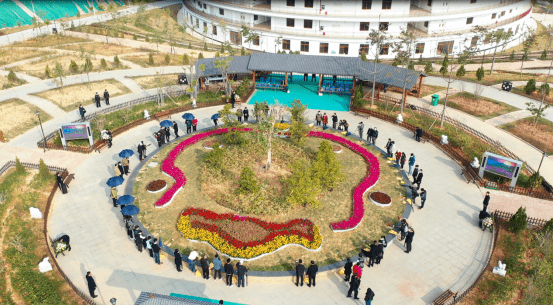 南宁市马岭公墓举行公益花坛葬活动_服务