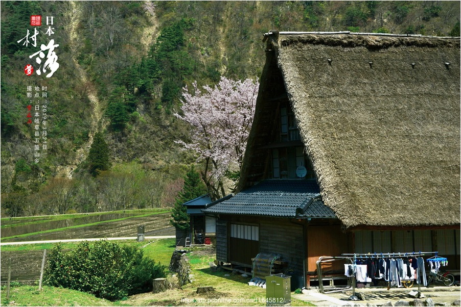 日本的村落梦还在搜狐大视野搜狐新闻