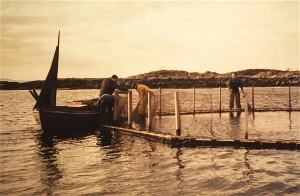 创新、责任造就的挪威三文鱼养殖之路
