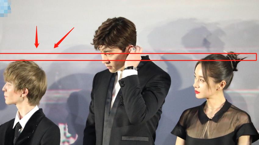 晴雅集首映礼郭敬明跟王子文站一起确定身高有差7cm