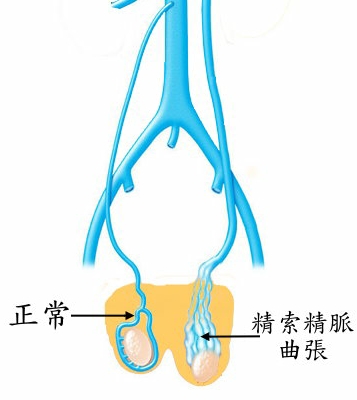 手机搜狐网