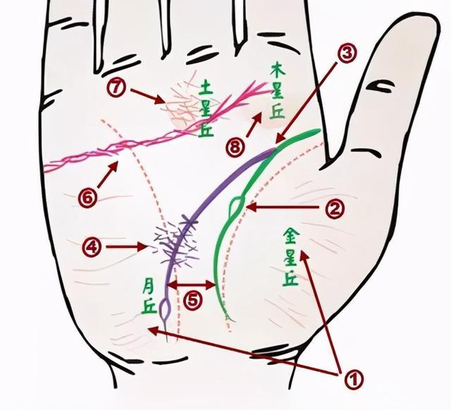 掌纹可以诊断肝癌,糖尿病,高血压,妇科病,脑溢血_生命线
