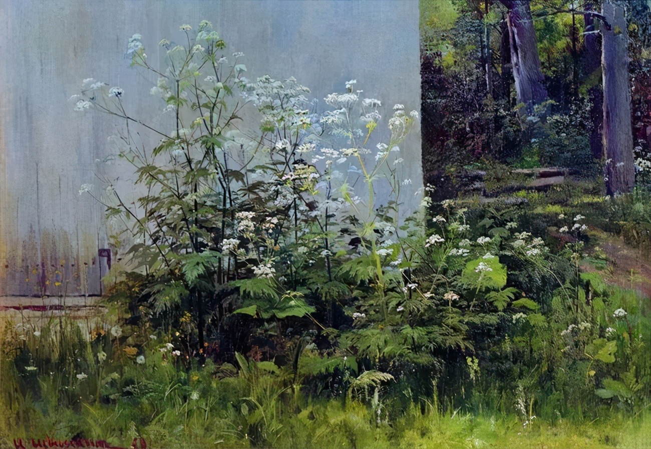 俄罗斯杰出风景画家希施金的油画作品,诗一般的境界!