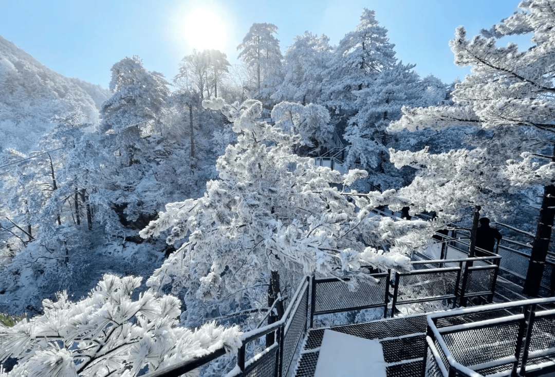 杭州大明山雪景图片