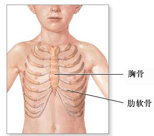 漏斗胸常見問題