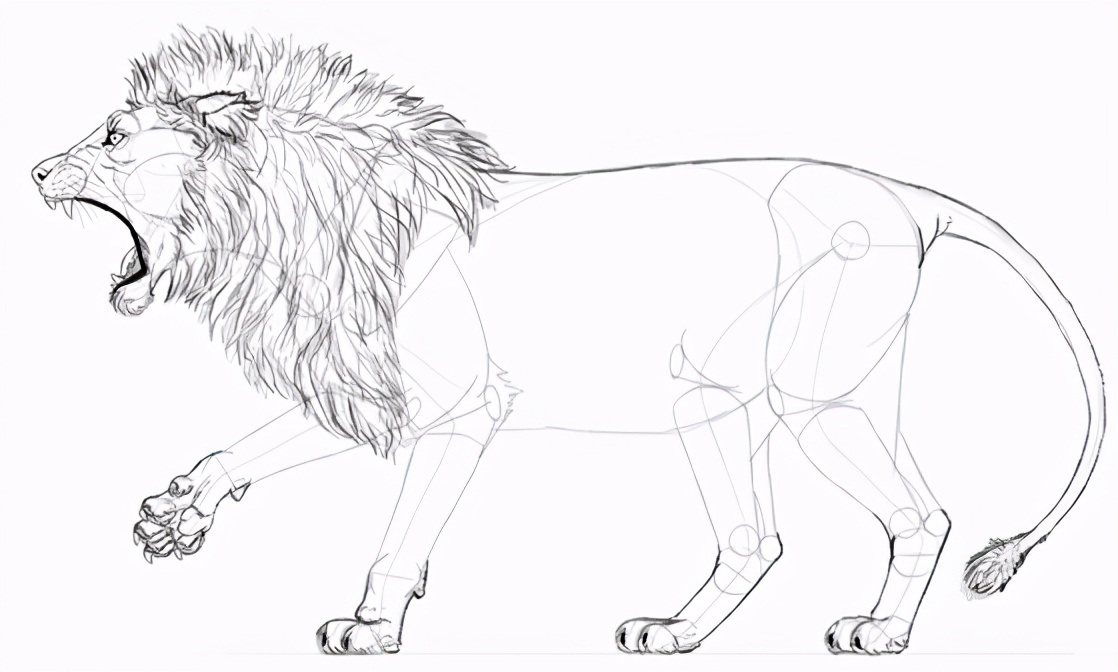 手绘初学者如何画咆哮的狮子?绘画入门基础绘制教程!