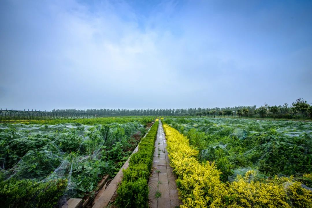 济西高科都市农庄地处黄河,玉符河,长江,济平干渠,玉清湖水库五水汇聚