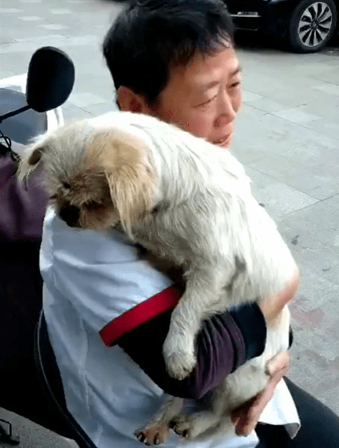 主人把狗狗送人,八年后狗狗又找回家,相认时主人当场泪目……_手机